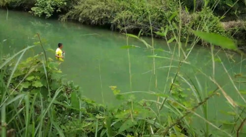 早起收笼，静等地笼大爆炸 2017-05-18 11点场