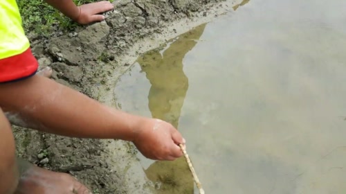 早起收笼，静等地笼大爆炸 2017-05-18 13点场