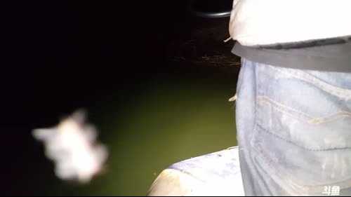 魅力：鱼叉X鱼 2017-03-28 22点场