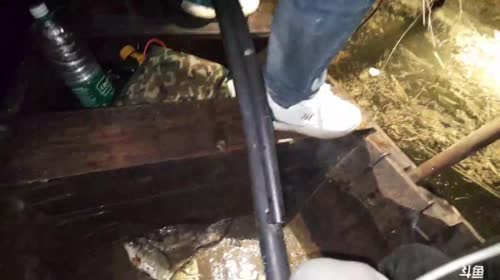 ❌❌❌鱼 2017-04-17 20点场