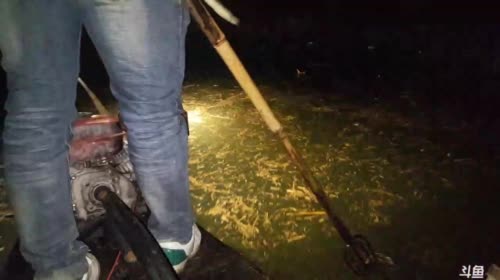 ❌❌❌鱼 2017-04-17 22点场