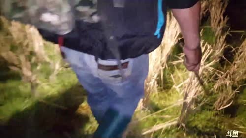 夹泥鳅黄鳝我们是认真的。 2017-03-08 19点场