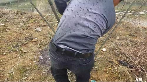 起早奋斗，发家致富。 2017-03-11 10点场