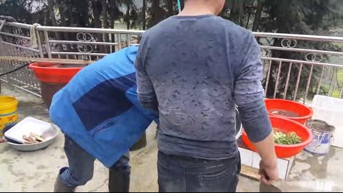 魅力：水蜂子，货多多 2017-03-11 16点场