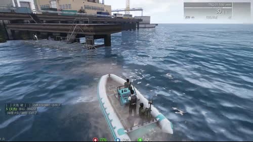 (啊城直播间）武装突袭3一起玩 2017-01-30 23点场