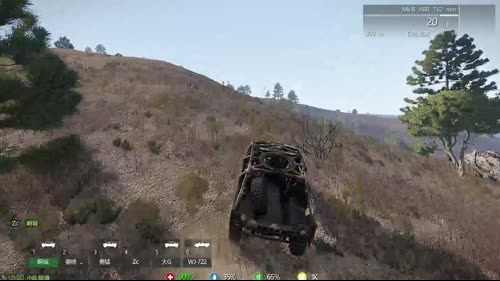 (啊城直播间）武装突袭3一起玩 2017-02-06 01点场