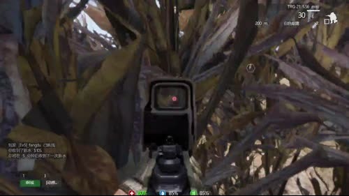 (啊城直播间）武装突袭3一起玩 2017-01-30 16点场