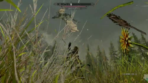 (啊城直播间） 上古卷轴5 2017-04-29 15点场