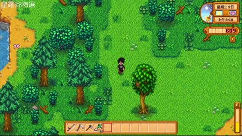 【洋洋】星露谷物语，农夫，山泉，有点田！ 2017-03-04 18点场