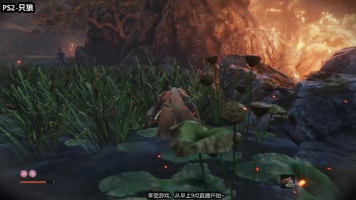 【只狼】开车还是开船~~ 2019-10-05 18点场