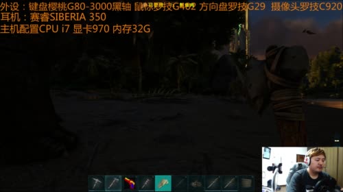 【大卫】测试，来一波粉丝团 2017-04-11 22点场