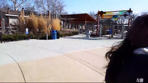 【芝加哥】布鲁克菲尔德动物园0度玩泥巴 2017-02-27 03点场