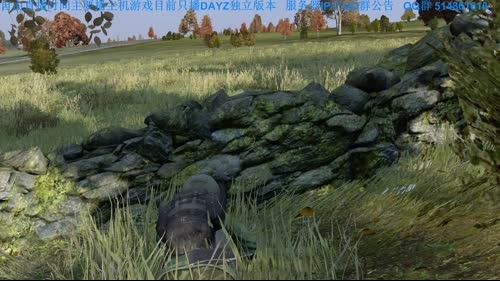 DAYZ独立版 活的久一点 2017-02-04 22点场