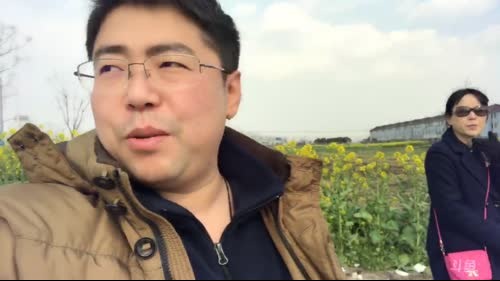 今天户外出去溜达一圈看看万亩良田~ 2017-03-26 15点场