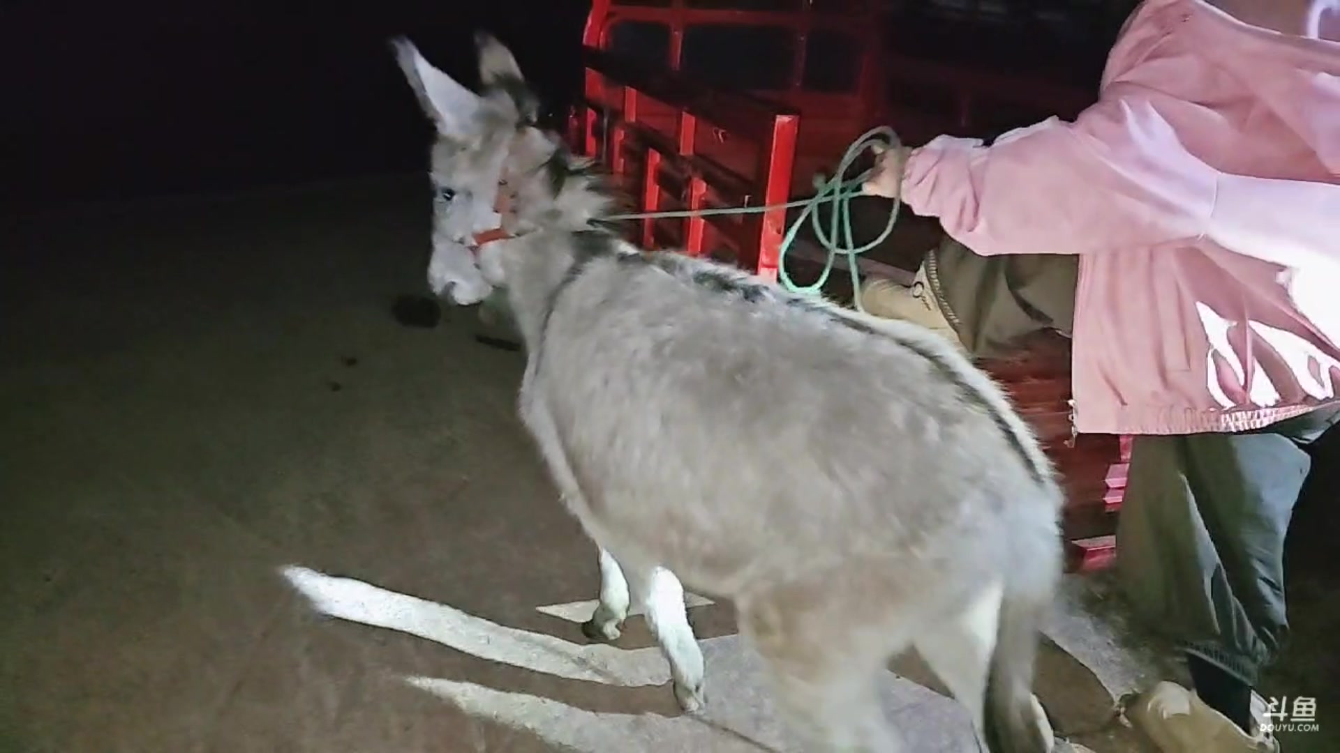 【2025-01-19 19点场】757户外：【非常互娱】757女团S3 Day138