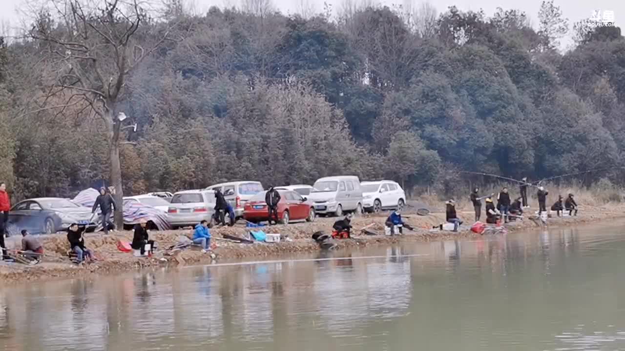 【2021-01-03 09点场】中华户外钓鱼：新坑大青正钓