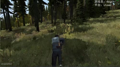 僵尸世界大战——dayz 2017-02-02 16点场