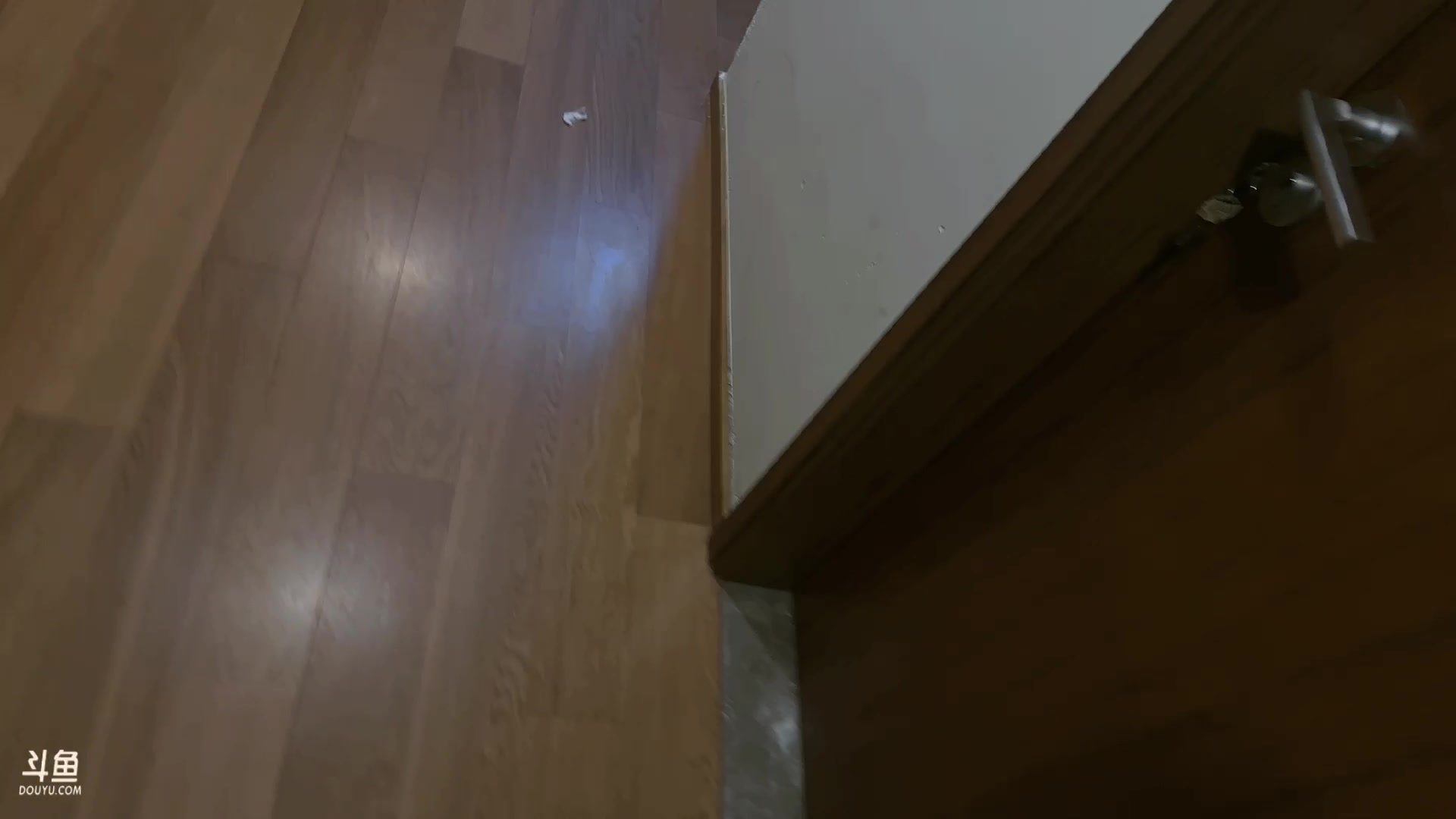 【2023-11-30 00点场】阿雅Midori：【阿雅】能力不大想法很多