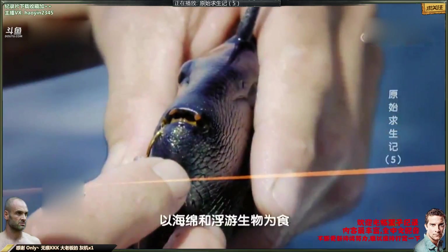 【纪录片】黑子影视haoyin1234的精彩时刻 20231111 23点场
