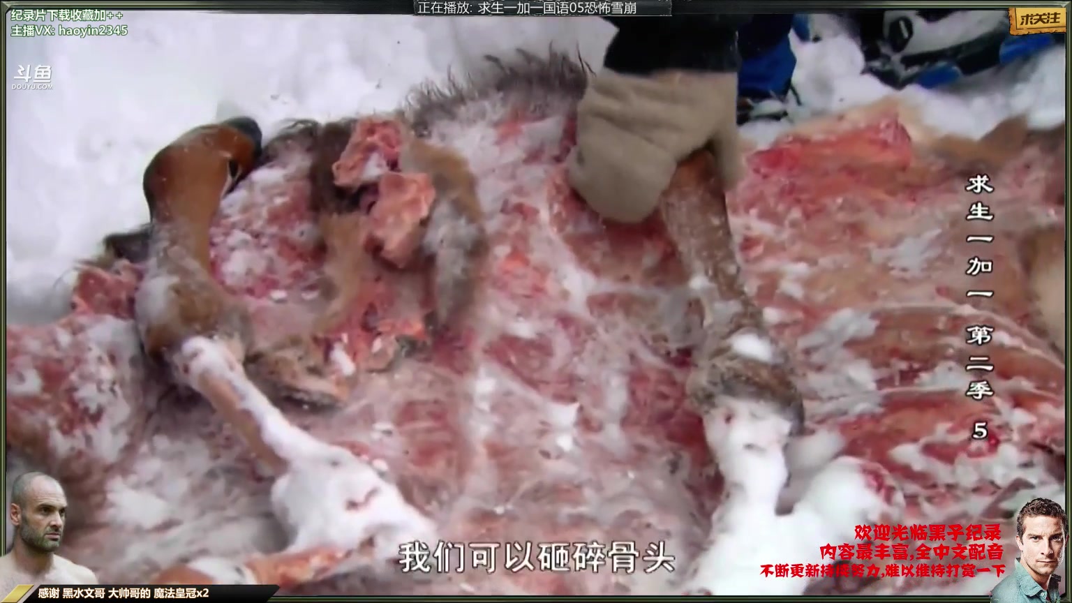 【纪录片】黑子影视haoyin1234的精彩时刻 20231229 23点场