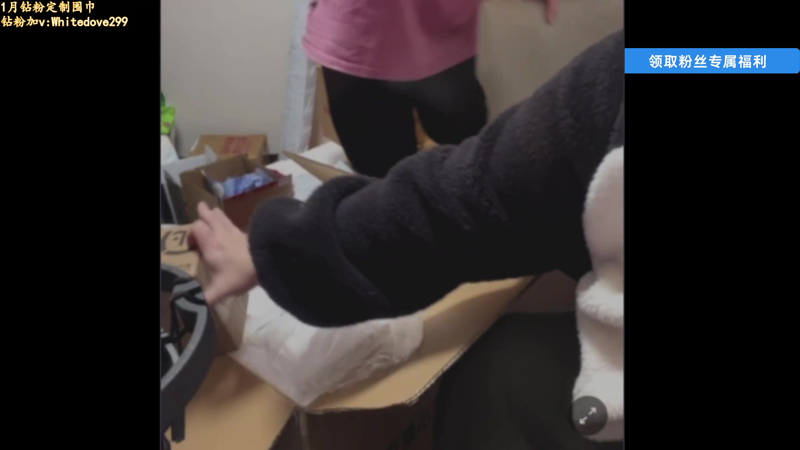 【热门游戏】小白鸽WhiteDove的精彩时刻 20250117 20点场