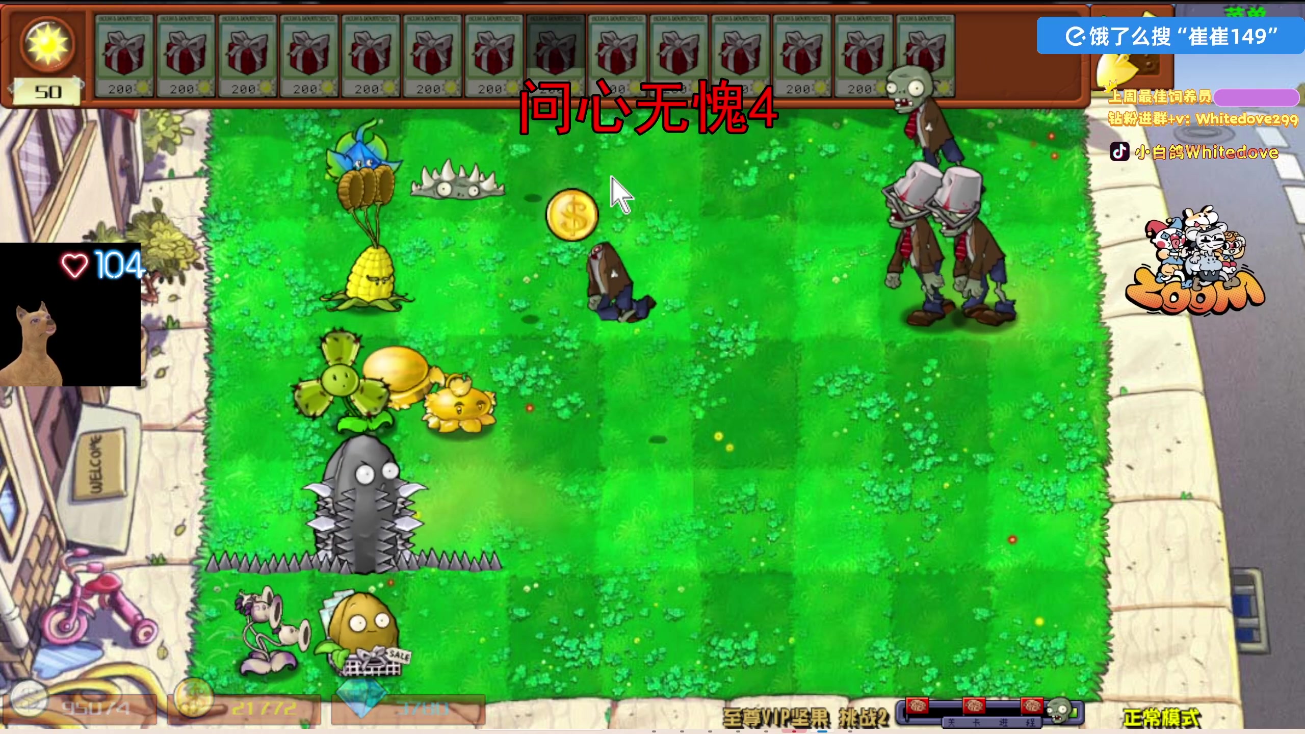 【热门游戏】小白鸽WhiteDove的精彩时刻 20251027 16点场