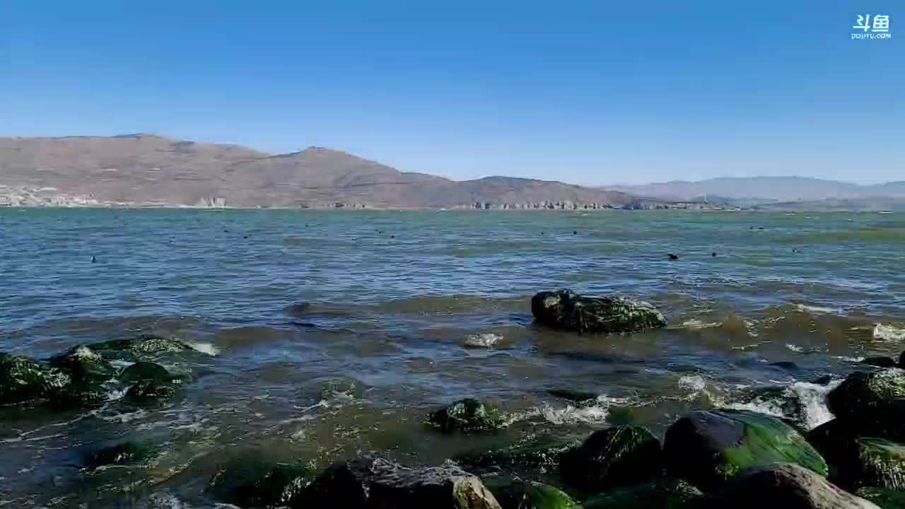 【户外】叶子户外的精彩时刻 20210103 14点场