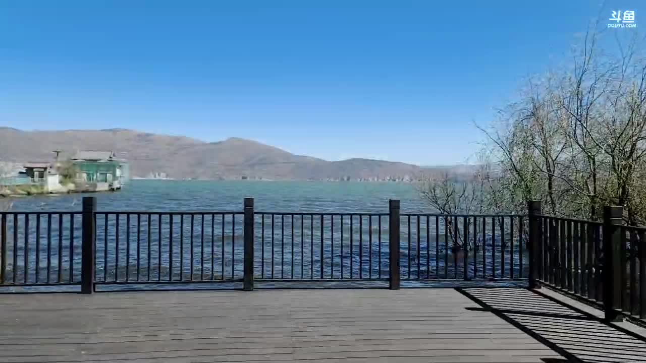 【户外】叶子户外的精彩时刻 20210104 13点场