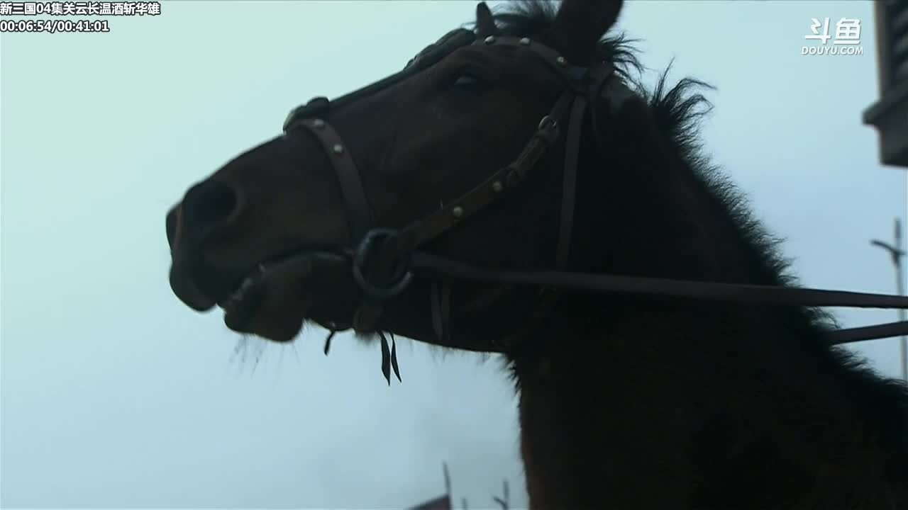 【一起看】山东蓝翔技工学院的精彩时刻 20210102 16点场