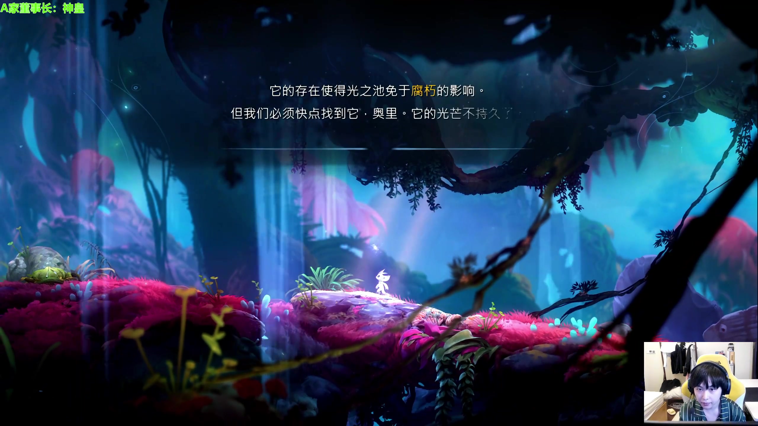 我在斗鱼看不2不叫周淑怡直播英雄联盟