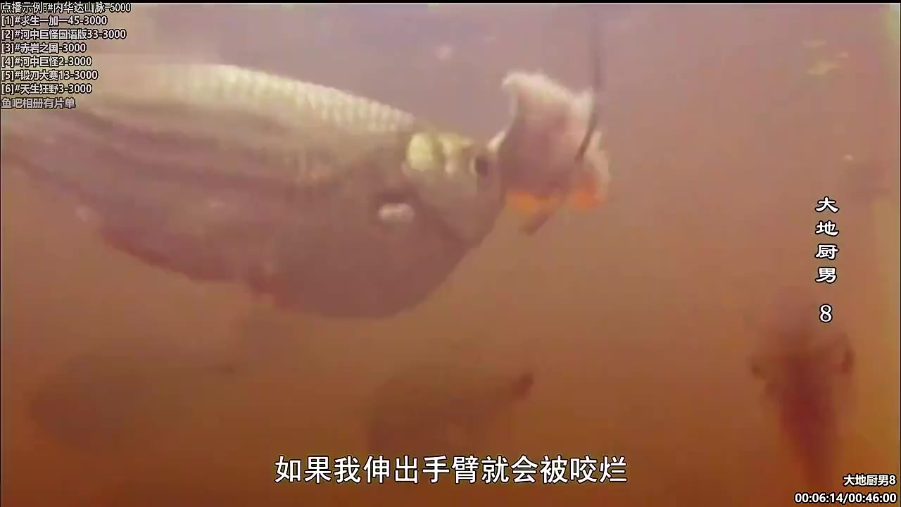 【纪录片】酷炫你你你的精彩时刻 20231121 06点场