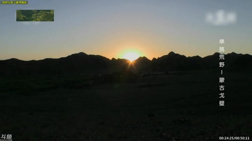 户外遛狗王飞哥发布了一个斗鱼视频2019-08-05