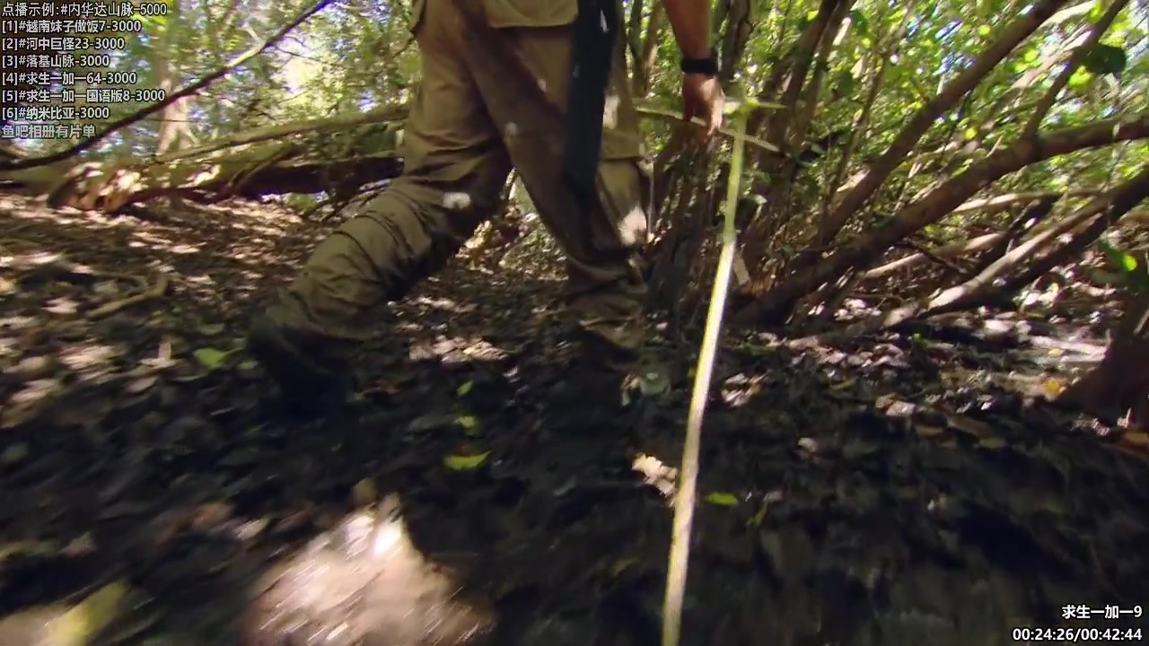 【纪录片】酷炫你你你的精彩时刻 20231115 09点场