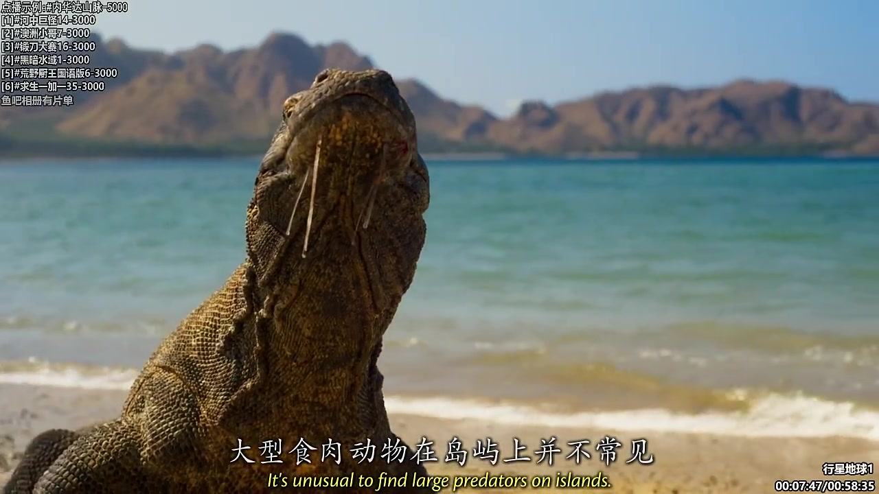 【纪录片】酷炫你你你的精彩时刻 20231123 08点场