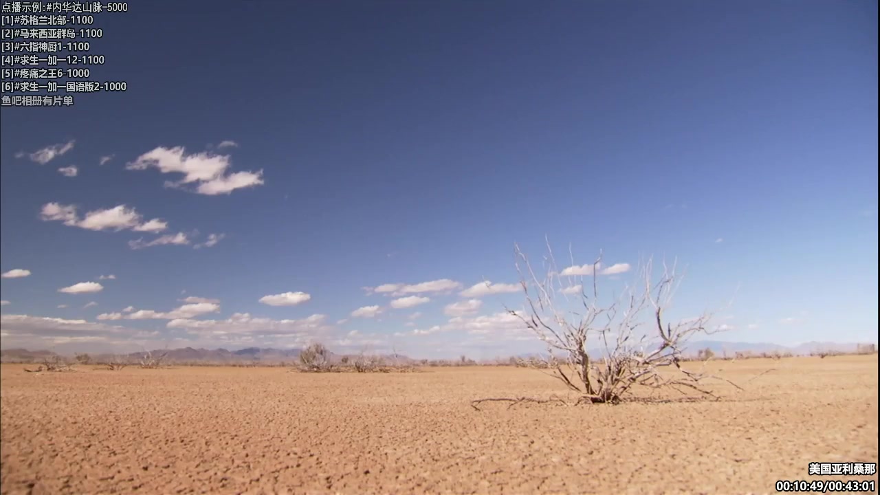 【纪录片】酷炫你你你的精彩时刻 20231207 08点场