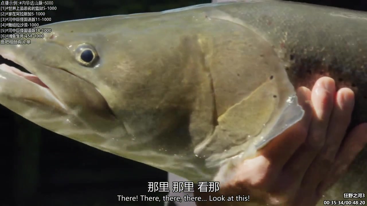 【纪录片】酷炫你你你的精彩时刻 20231209 08点场