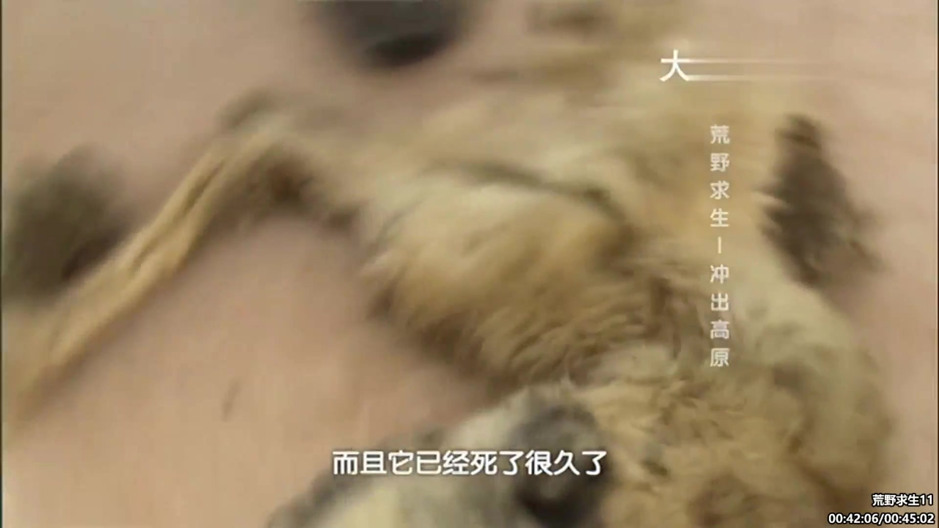 【纪录片】酷炫你你你的精彩时刻 20240130 07点场