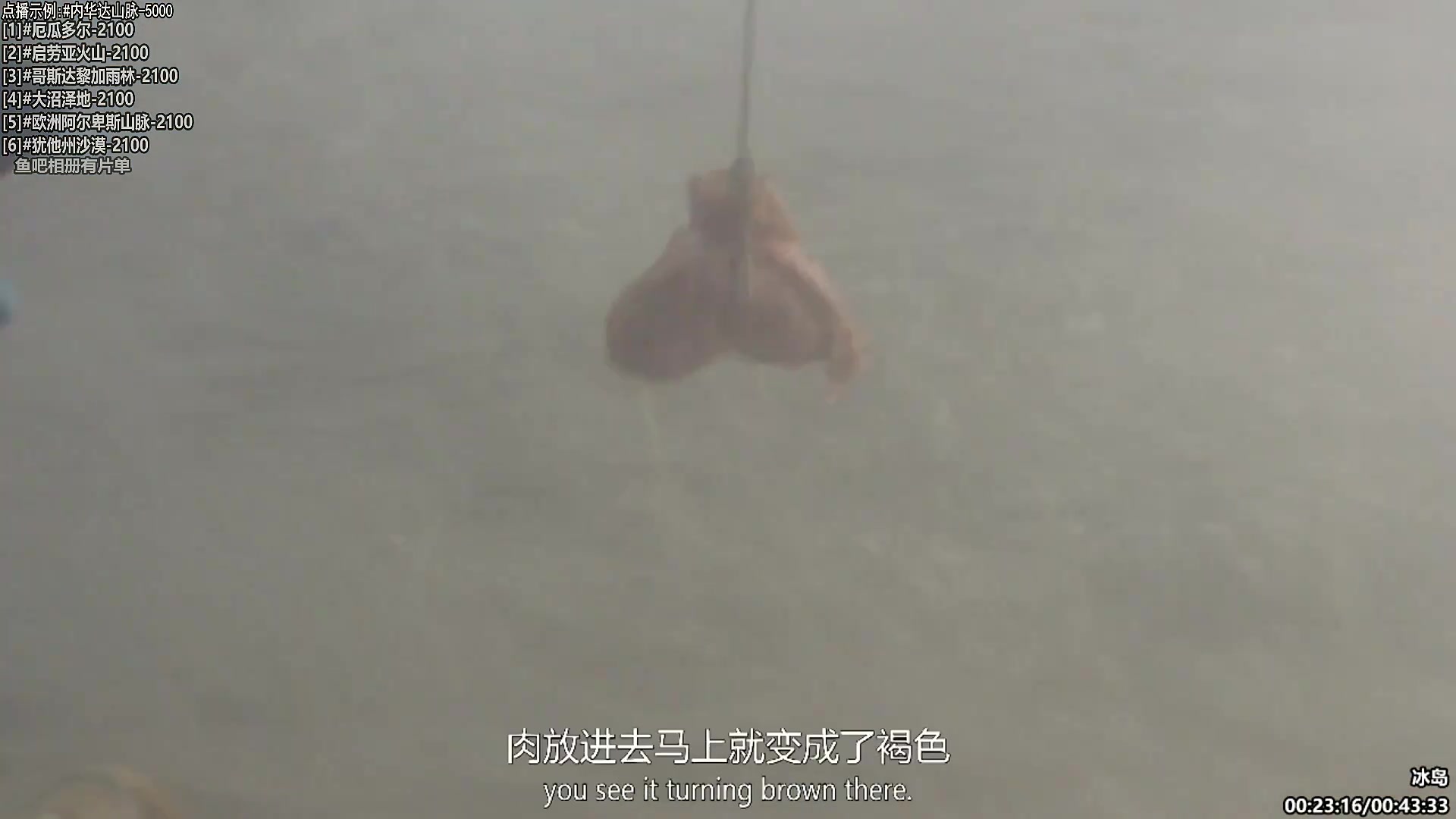 【纪录片】酷炫你你你的精彩时刻 20240303 07点场