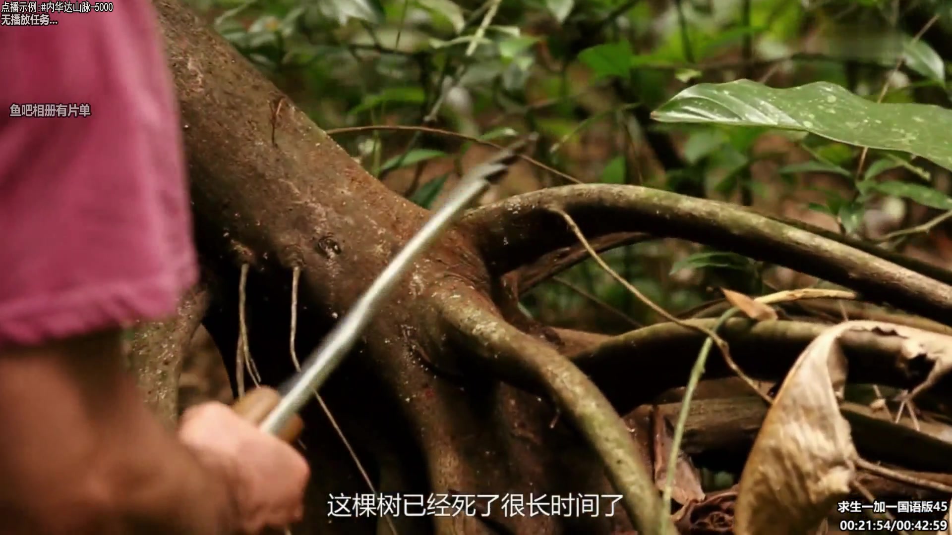 【纪录片】酷炫你你你的精彩时刻 20240319 07点场