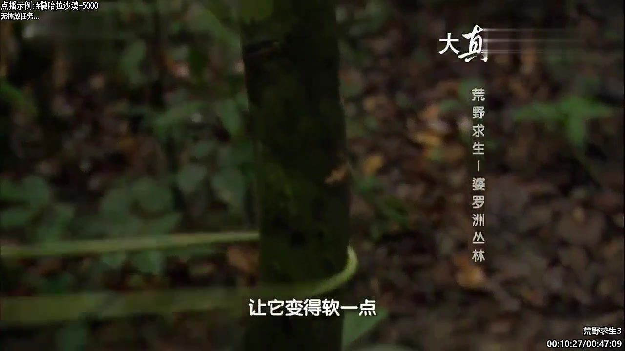 【纪录片】酷炫的月牙儿的精彩时刻 20240517 09点场