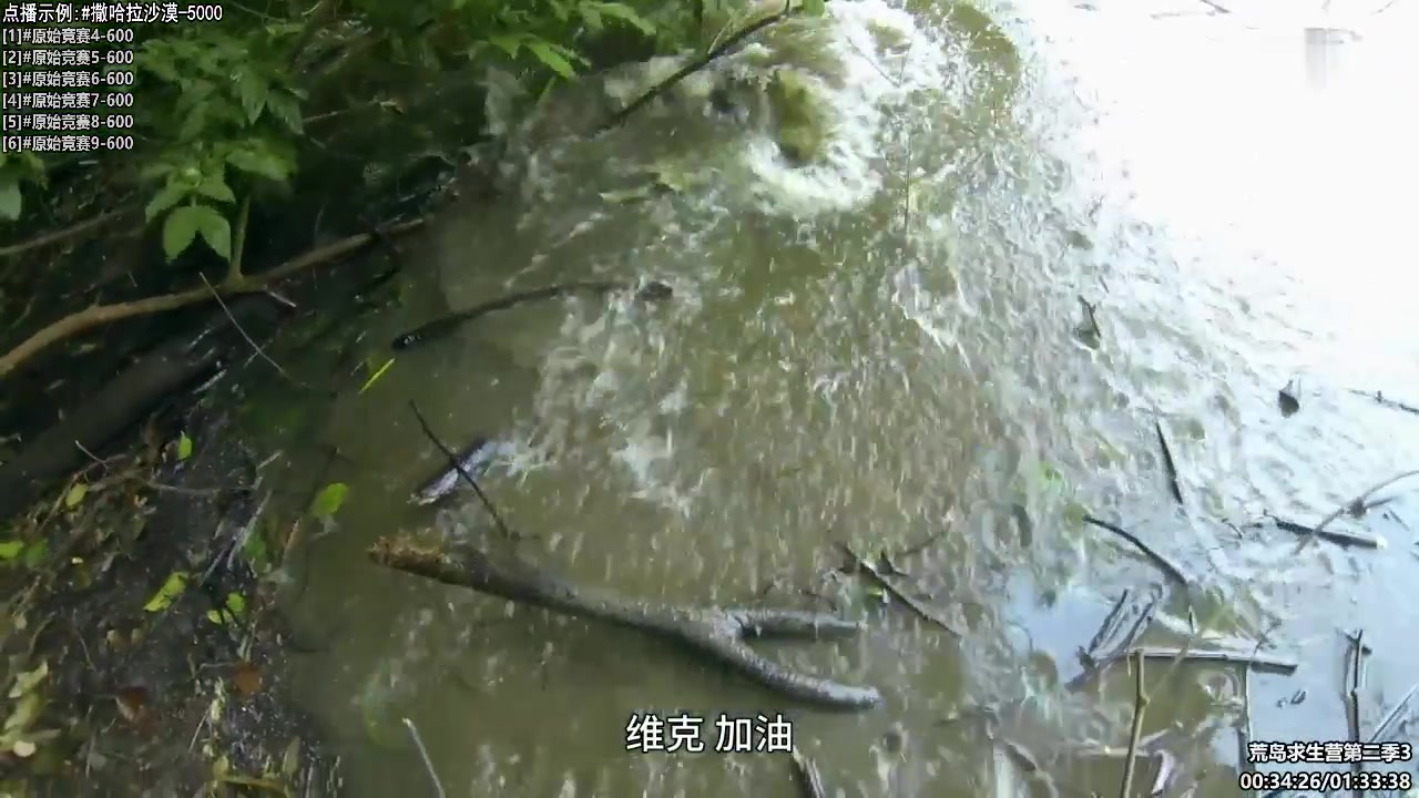 【纪录片】酷炫你你你的精彩时刻 20240729 08点场