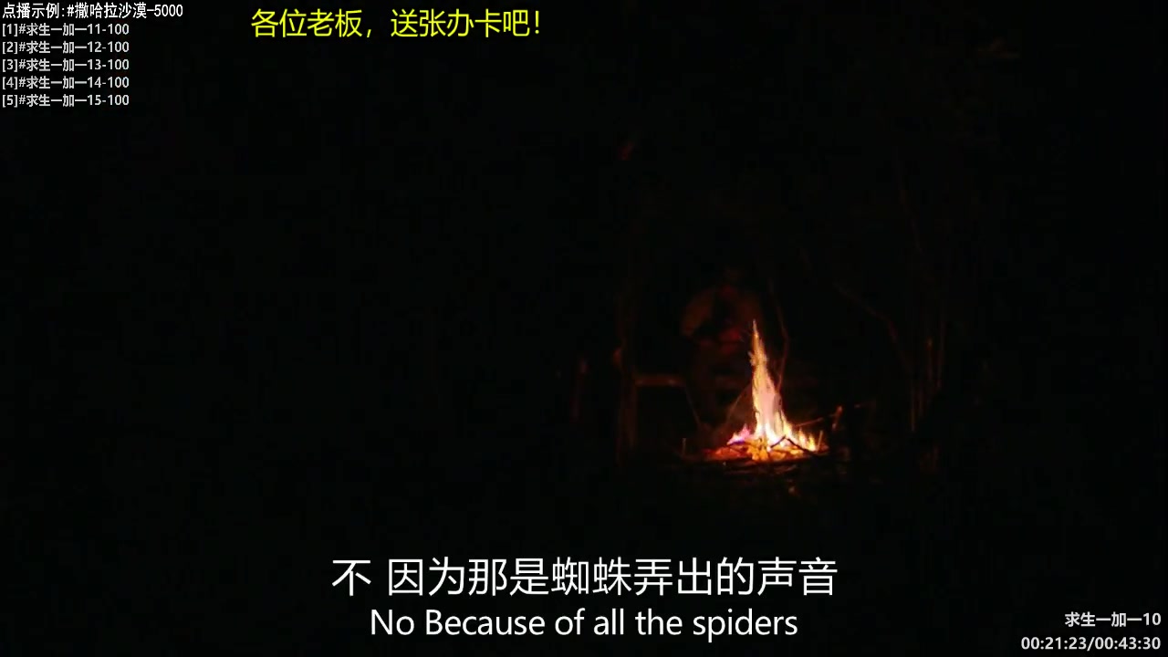 【纪录片】酷炫你你你的精彩时刻 20240818 08点场