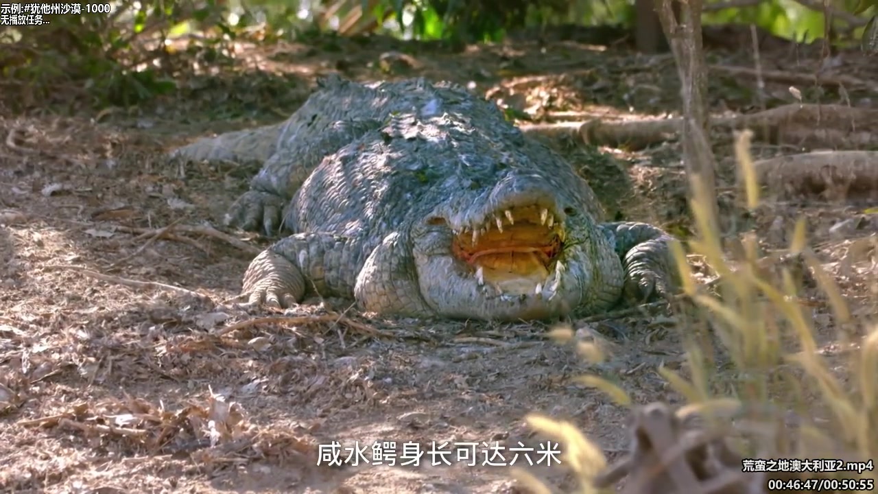 【纪录片】酷炫你你你的精彩时刻 20250424 07点场