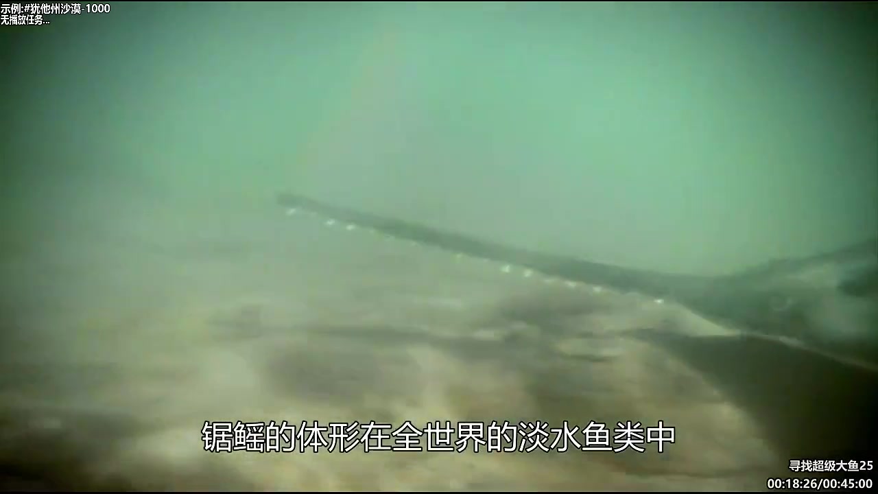 【纪录片】东京到底RE不热的精彩时刻 20250509 09点场