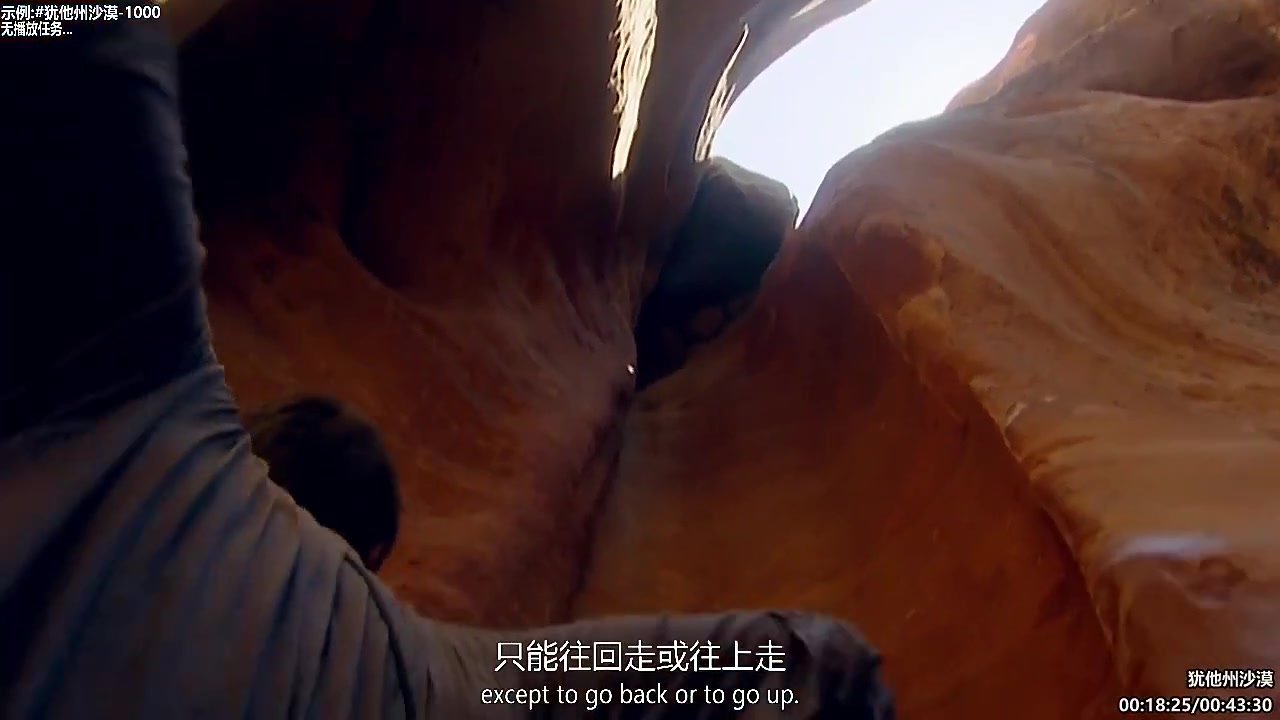 【纪录片】东京到底RE不热的精彩时刻 20250517 07点场