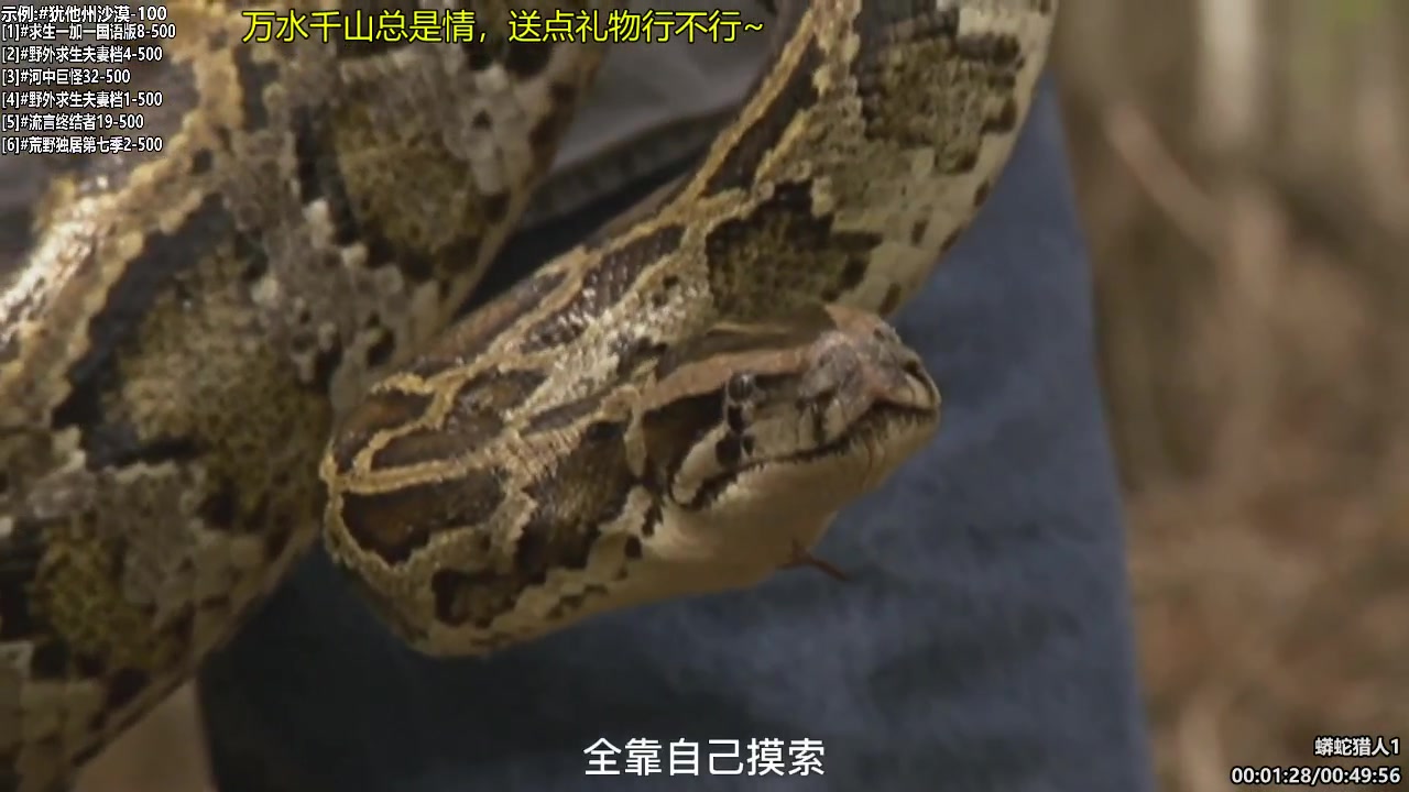 【纪录片】东京到底RE不热的精彩时刻 20250628 08点场