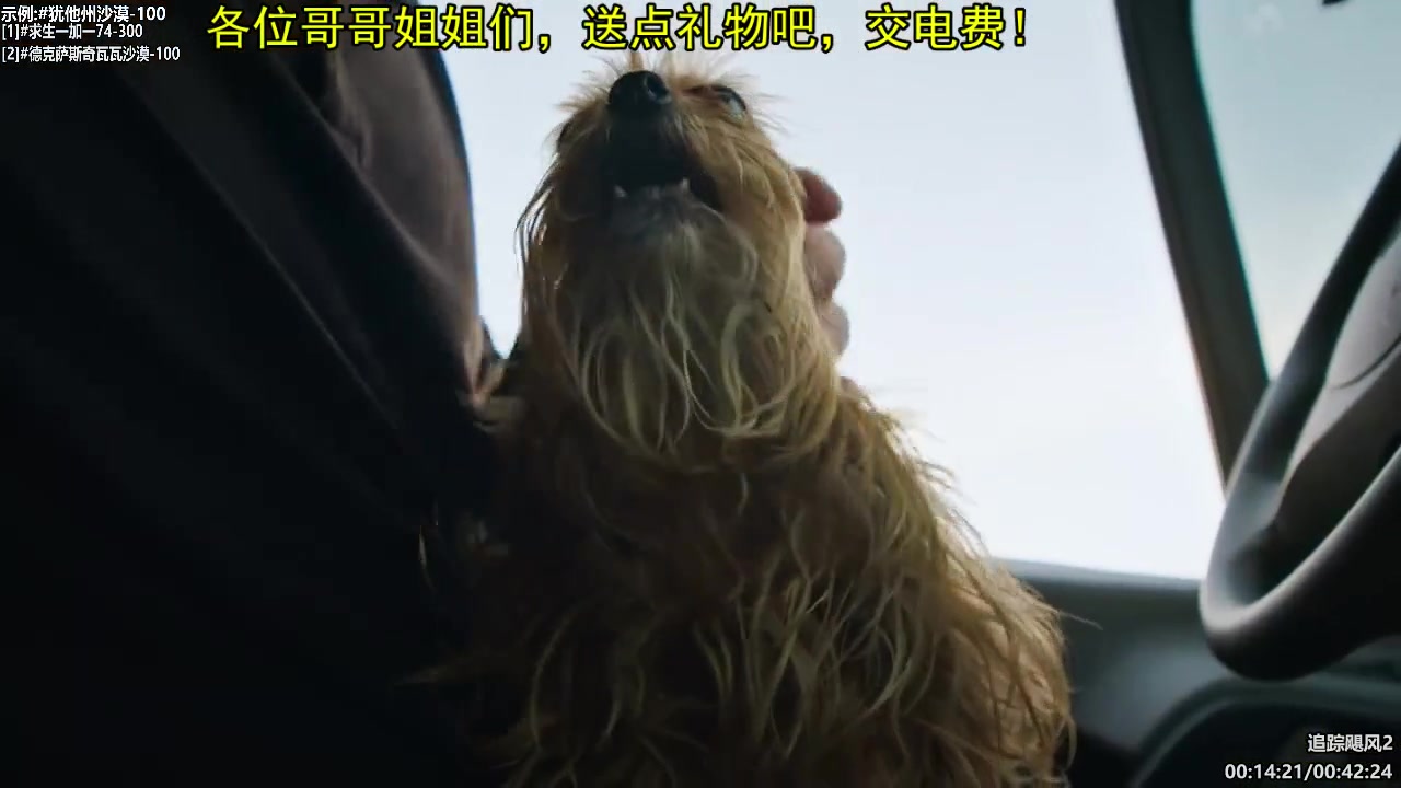 【纪录片】东京到底RE不热的精彩时刻 20250706 09点场