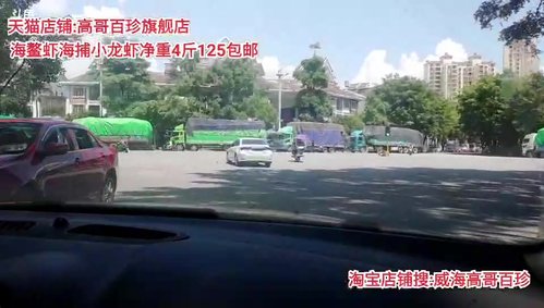 西北老狼哥哥发布了一个斗鱼视频2020-09-04