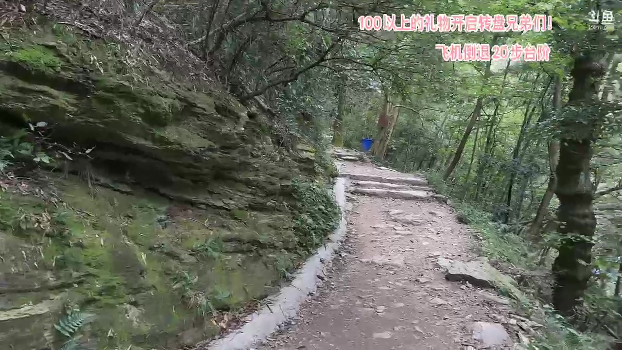 【英雄联盟】胸肌很大的良小伞的精彩时刻 20231006 15点场
