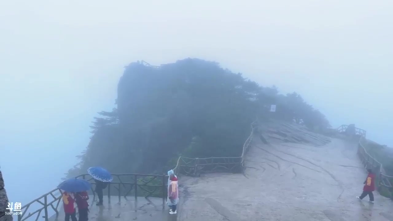【英雄联盟】胸肌很大的良小伞的精彩时刻 20240611 08点场